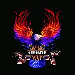 Meet your Posher, Barb